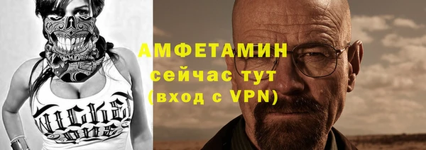 гидра Лагань