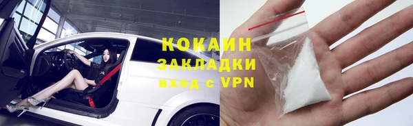 гидра Лагань