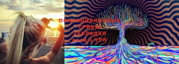 гидра Лагань