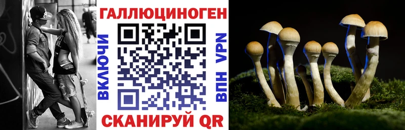Галлюциногенные грибы MAGIC MUSHROOMS Калачинск