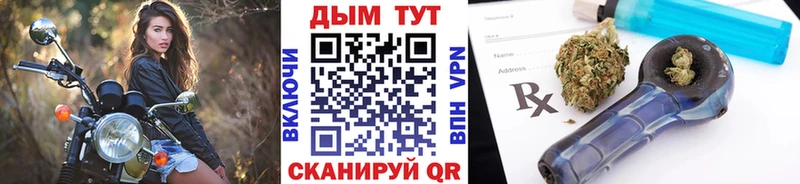 Бошки Шишки план  Купить где  Калачинск 